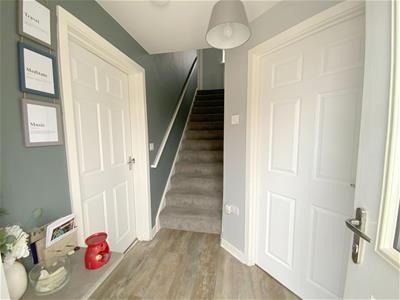 Picture 5